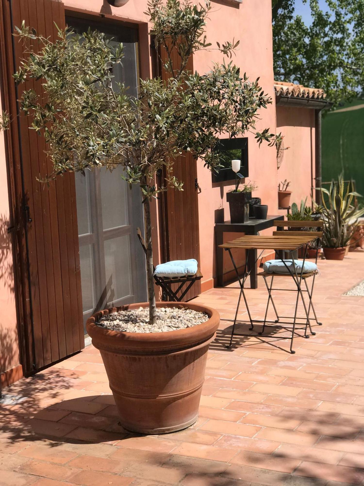 Bed and Breakfast Il Posto Perfetto Santa Maria Nuova  Exterior foto