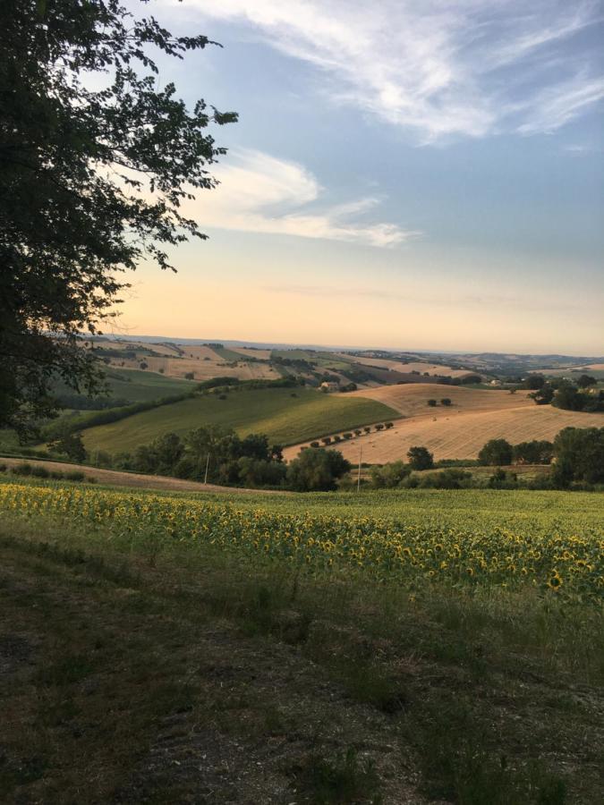 Bed and Breakfast Il Posto Perfetto Santa Maria Nuova  Exterior foto